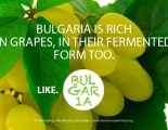 "България е богата на грозде, също и на неговата ферментирала форма" :)