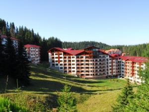 Снимка Форест Нук