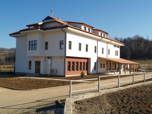 Подковата